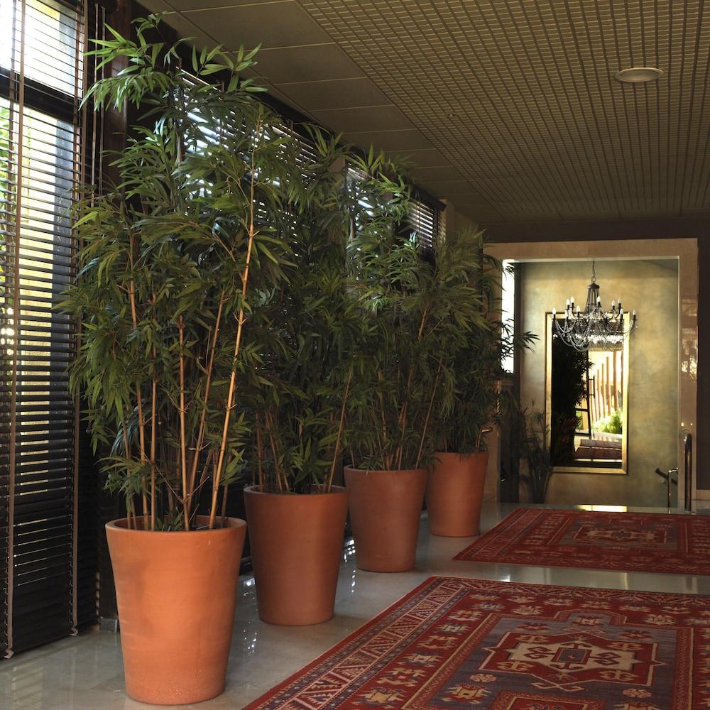Luna Club Hotel Yoga & Spa 4Sup Malgrat de Mar Exterior photo